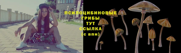 герыч Арсеньев