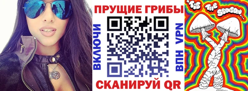 Галлюциногенные грибы Cubensis  цены наркотик  Таштагол 